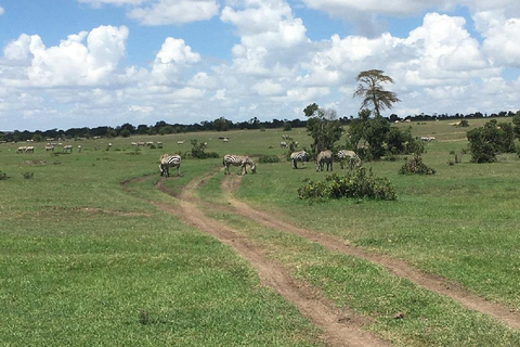 Nairobi: Ol Pejeta Conservancy Day Trip with Game Drive