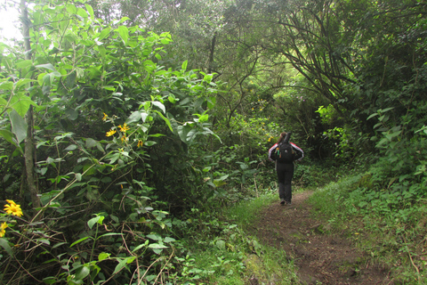 Pululahua Volcano Sightseeing Tour