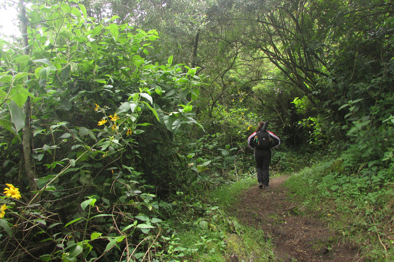 Pululahua Volcano Sightseeing Tour