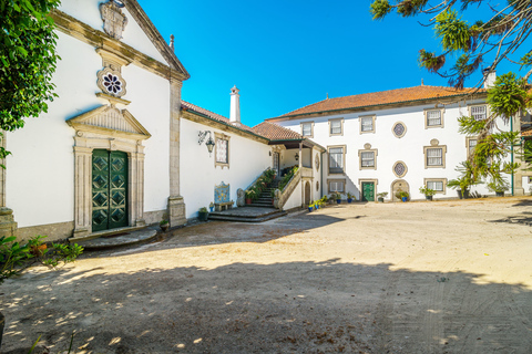 Douro Valley: A Sensory Experience in the Douro: Wines, Olive Oil, and History Douro Valley: Sensory Experience in the Douro: Wines, Olive Oil, and History