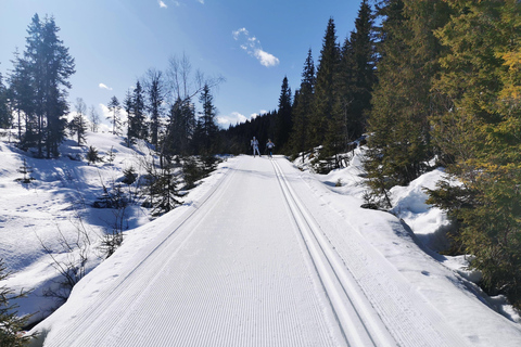 Oslo: Excursión de 3 horas a campo traviesa con equipo y guía