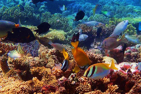 Coron: tour privato Siete Pecados e grotta PukawayCoron Siete Pecados + Grotta di Pukaway (tour privato)