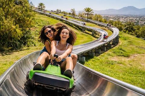 Cape Town: Toboggan Park & Authentic Gatsby Food Experience