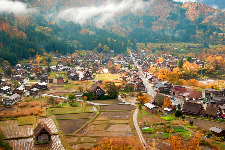 Nagoya:Shirakawa-go Gassho Village&Takayama Old Town Tour