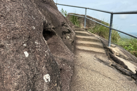 From Colombo: Cave Temples, Jungle Trek & Waterfall Swim