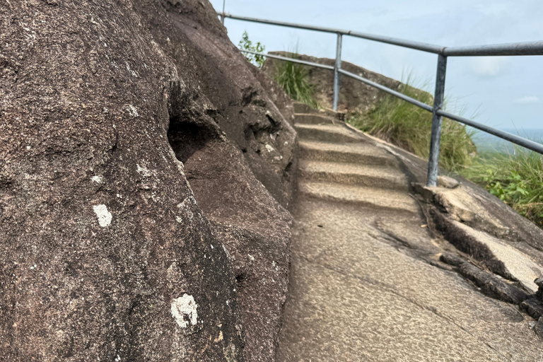 From Colombo: Cave Temples, Jungle Trek & Waterfall Swim