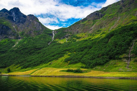 From Oslo: Scenic Road Trip to Bergen via Flam and Fjords