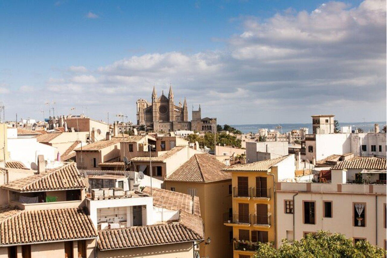 Palma de Mallorca : Must see Walking Tour With A Guide 2 Hours - Group Tour Must-see in Palma de Mallorca