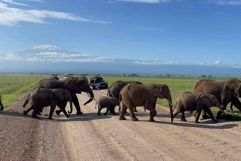 3-day Amboseli & SaltLick Safar: Kilimanjaro View & Treetop