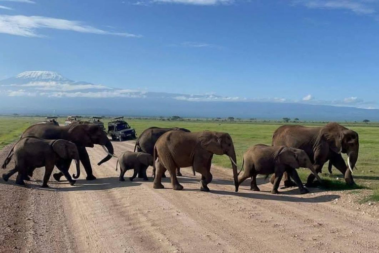 3-day Amboseli & SaltLick Safar: Kilimanjaro View & Treetop