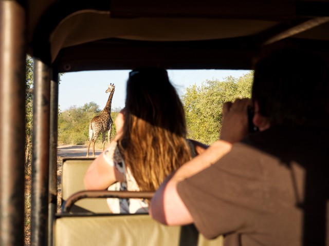 Visit From Johannesburg 3-Day Budget Kruger National Park Safari in Johannesburg