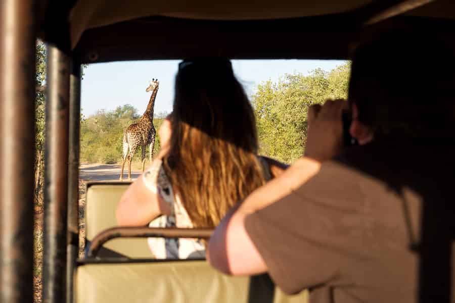 Von Johannesburg aus: 3-Tage-Budget-Zelt-Kruger-Park-Safari. Foto: GetYourGuide Von Johannesburg aus: 3-Tage-Budget-Zelt-Kruger-Park-Safari. Foto: GetYourGuide