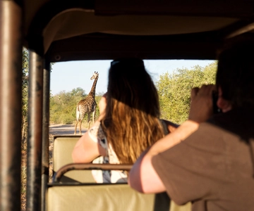 Från Johannesburg: 3-dagars budget tält Kruger Park Safari