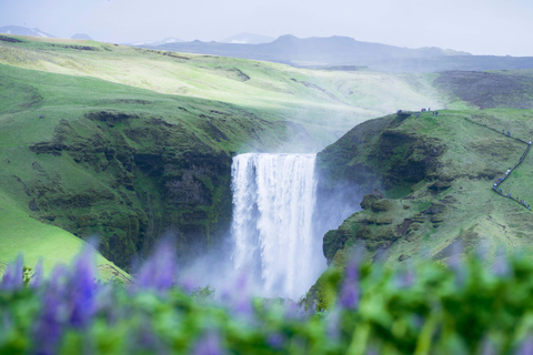 Iceland South Coast: Private Photography and Guided Day Tour