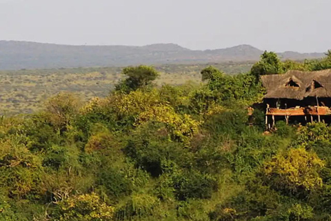 Całodniowe safari w rezerwacie Ol Pejeta