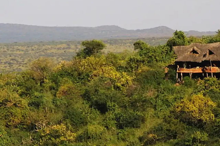 Safari di un giorno intero nella riserva di Ol Pejeta