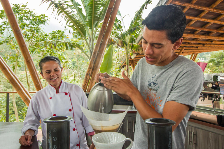 Upplevelse av kaffeodling på La Palma &amp; El Tucán från Bogotá