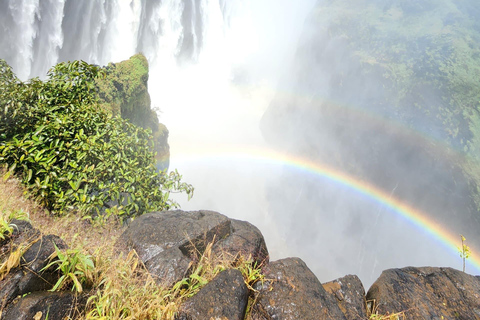 Victoria Falls Zimbabwe: Mosi-oa-Tunya Walk with Local Guide