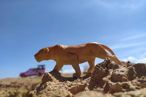 Sal: Wycieczka po wyspie z offroadowym akcentem i kreatywnymi zdjęciami