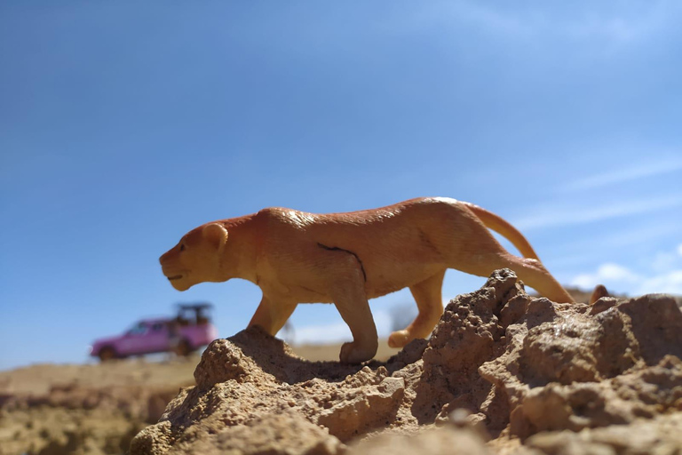 Sal: Wycieczka po wyspie z offroadowym akcentem i kreatywnymi zdjęciami