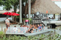 Miami, Everglades National Park Airboat Tour & Wildlife Show - Housity