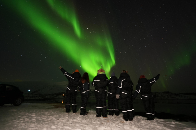 De Tromsø: Excursão à aurora boreal em microônibus com fotos