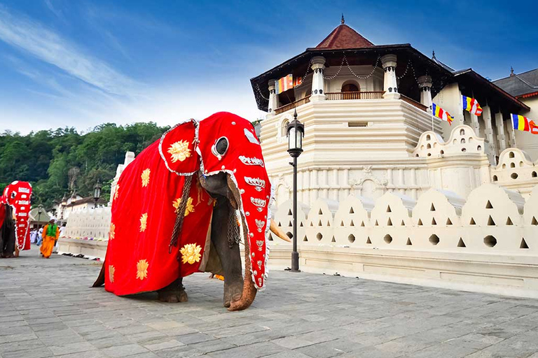 Kandy - wycieczka po mieście tuk tukiem z polecanym przewodnikiem