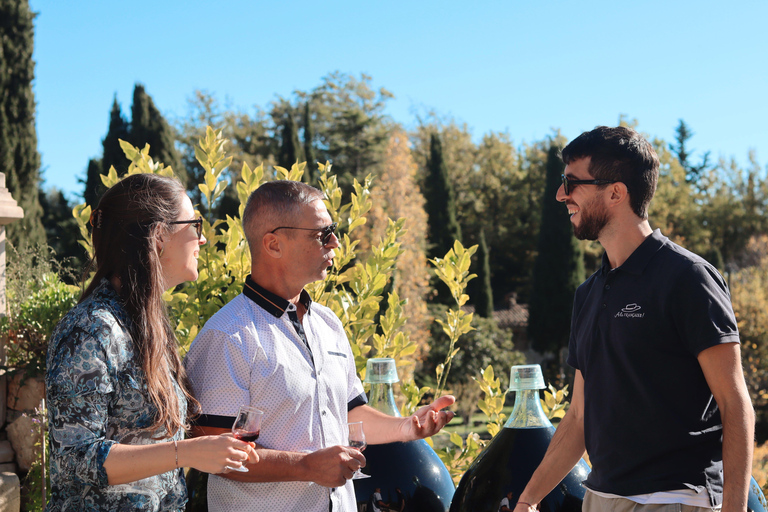 Nice: Monaco, Eze, Saint-Paul-de-Vence and Wine Tasting Tour