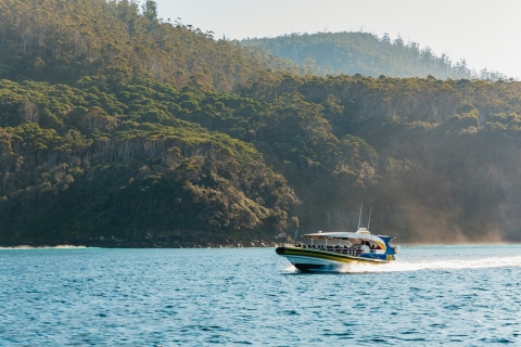 Bruny Island: Bootsfahrt in der WildnisTour ab Bruny Island