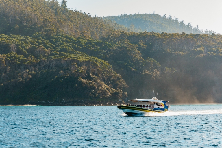 Bruny Island: Bootsfahrt in der WildnisTour ab Hobart