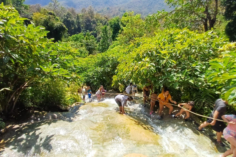 Chiang Mai: Sticky Waterfall, Big Pagoda, and Angels Land