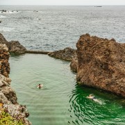 From Funchal: Enchanted Terraces and Porto do Moniz 4WD Tour