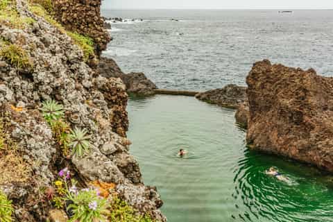 From Funchal: Enchanted Terraces and Porto do Moniz 4WD Tour