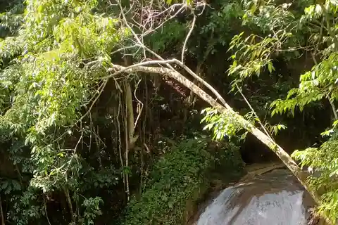Blue Hole Tour From Ocho Rios