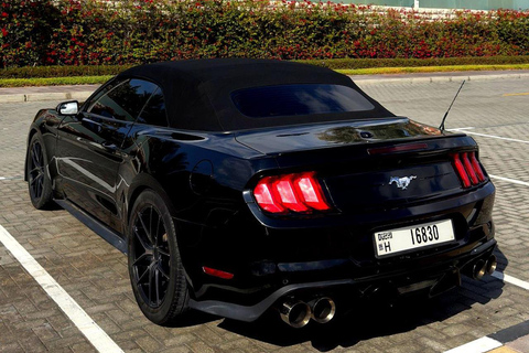 迪拜：卡布里奥野马之旅。奢华野马之旅