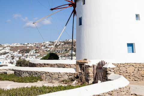 Desde la ciudad de Mykonos: tour turístico guiado con molinos de viento