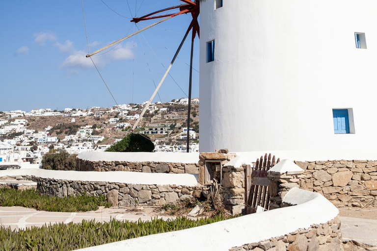 Desde la ciudad de Mykonos: tour turístico guiado con molinos de viento