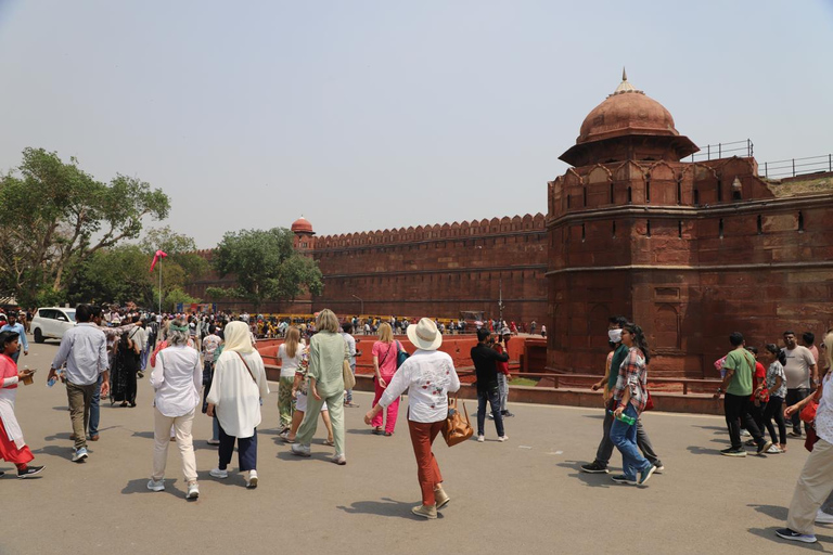8-Day Golden Triangle Tour With Ranthambore & Jhalana Safari Tour With 3-Star Hotel Recommendation