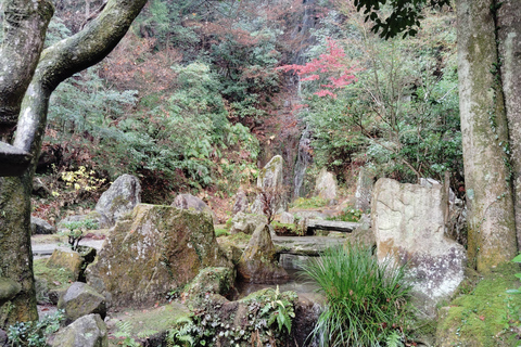 Hiroshima: Visita guidata del Tempio Mitaki-ji 1.5h