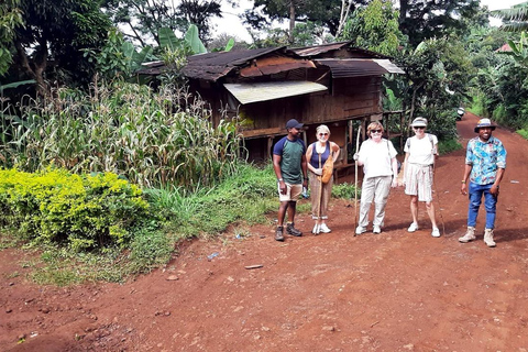 From Arusha: Materuni Waterfalls & Coffee Tour