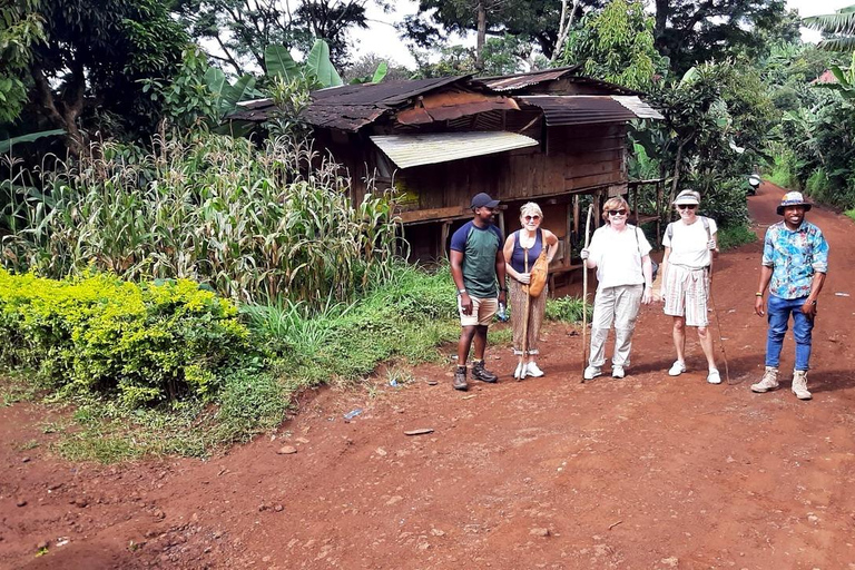 From Arusha: Materuni Waterfalls & Coffee Tour