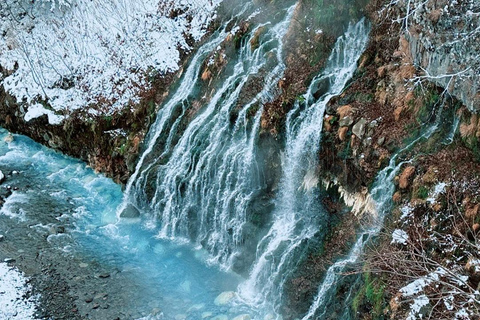 Sapporo:Asahiyama Zoo,Shirahige Waterfall&Blue Pond Day Trip 8:00 am meet at Odori Park subway station exit 31