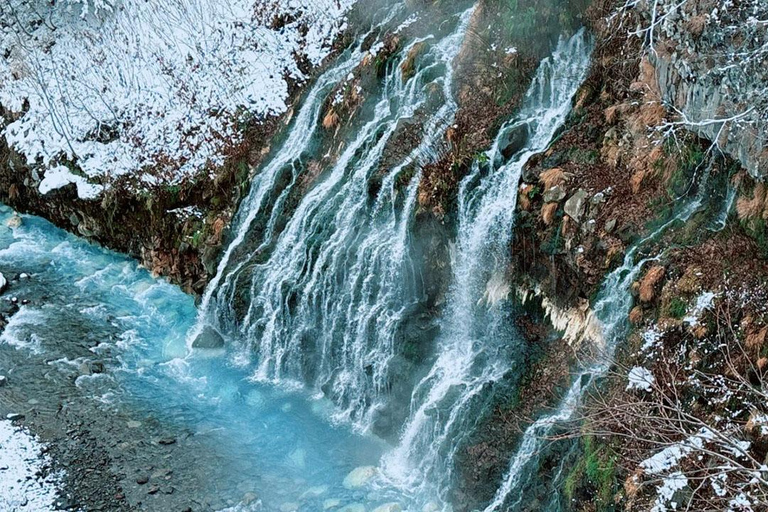 Sapporo:Asahiyama Zoo,Shirahige Waterfall&Blue Pond Day Trip 8:00 am meet at Odori Park subway station exit 31