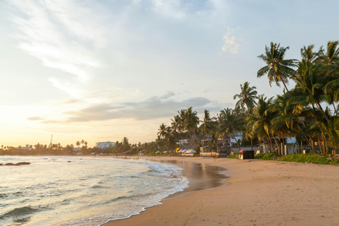 Landutflykt i Colombo