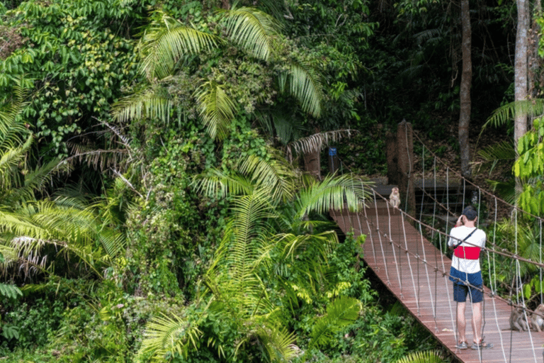 Vanuit Bangkok: Khao Yai Privé Charter met meerdere opties2 Dagen / MPV (4ppl)