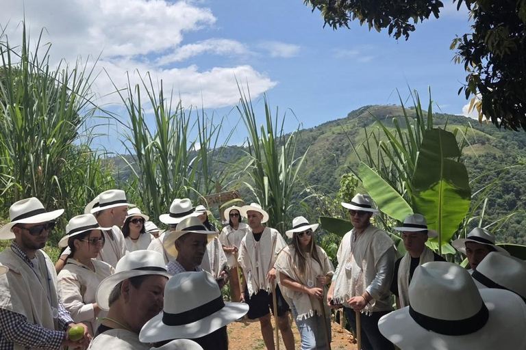 Medellin: Have a rural experience | Discover an old colonial town Medellín: Enjoy a Rural Experience | Discover an Old Colonial Town