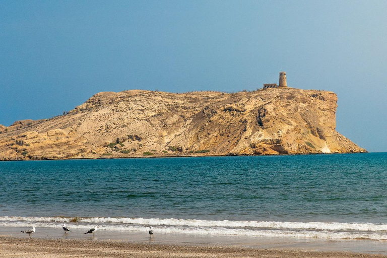 Muscat: Barka & Sawadi Coastal Tour with Beach Time