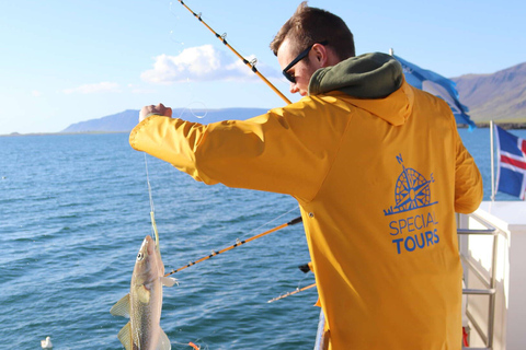 Pesca en aguas de Islandia de ReykjavikPesca de Islandia desde Reikiavik