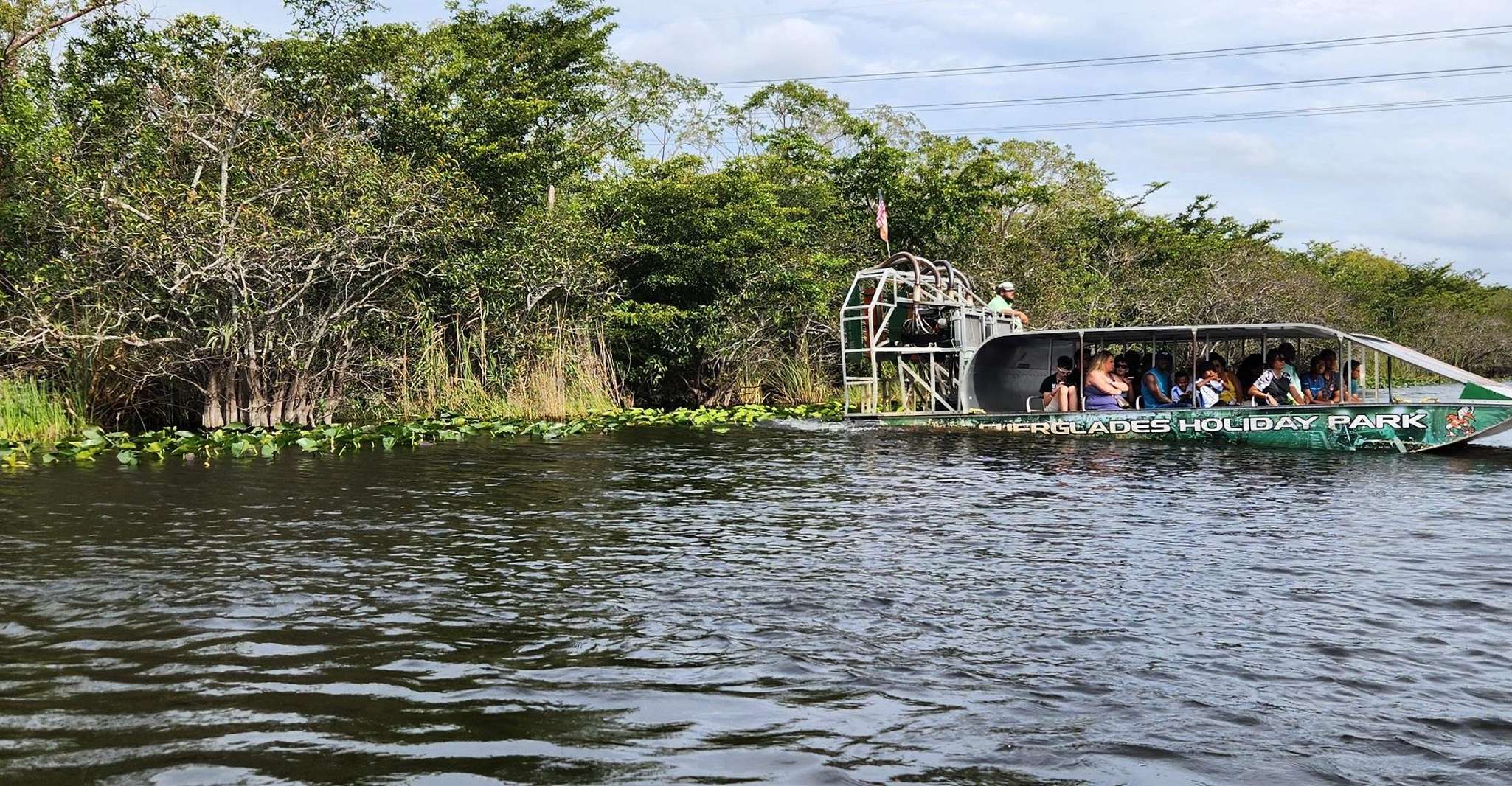 Miami: Everglades Airboat, Gator Encounter & Bus Transfer photo 4