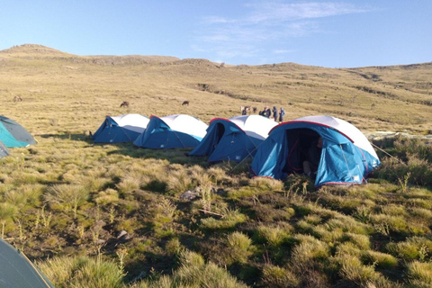 Roof of Africa: Simien Sunrise to Sunset: 5-Day Simien Trek